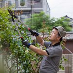 New Homeowner’s Guide to Pruning Your Garden