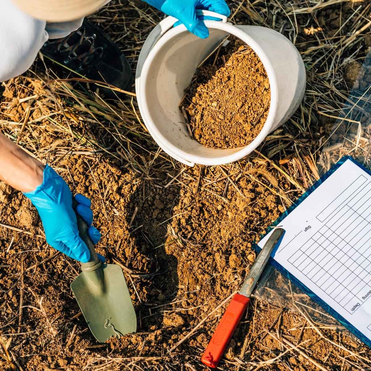 Testing Soil