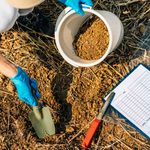 What To Know About Soil Testing