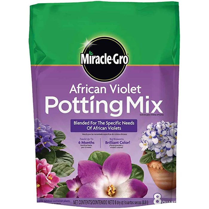 african violet potting mix