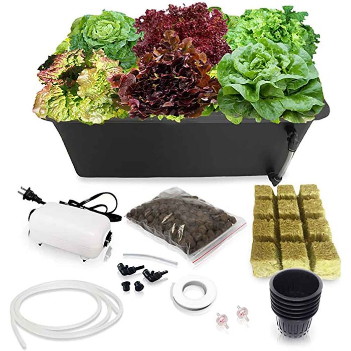 hydroponic growing system