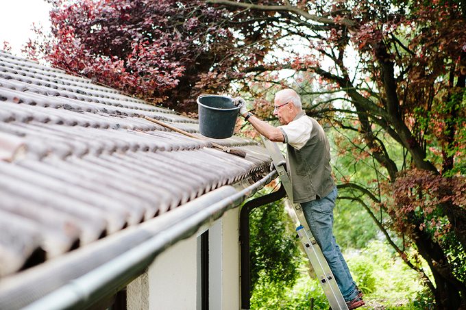 Senior Man Stands On Ladder And Cleans A Roof Gutter