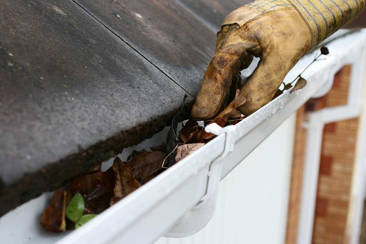 Gutter Cleaning