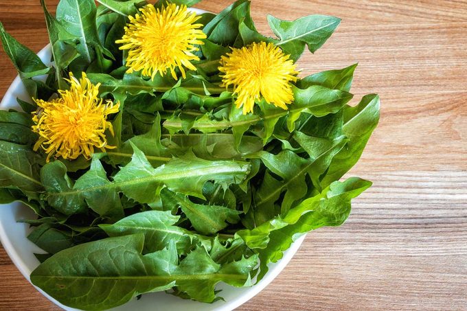 Dandelion Salad 