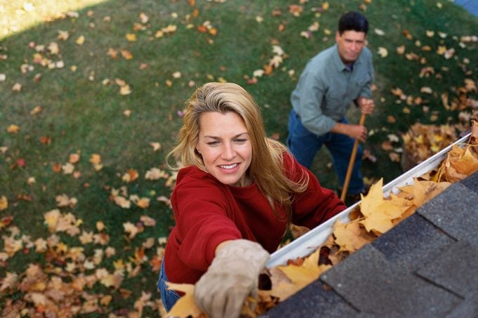 Couple Cleaning Away Leaves