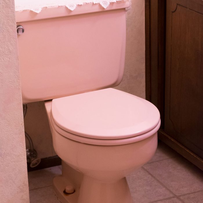 Pink Toilet 