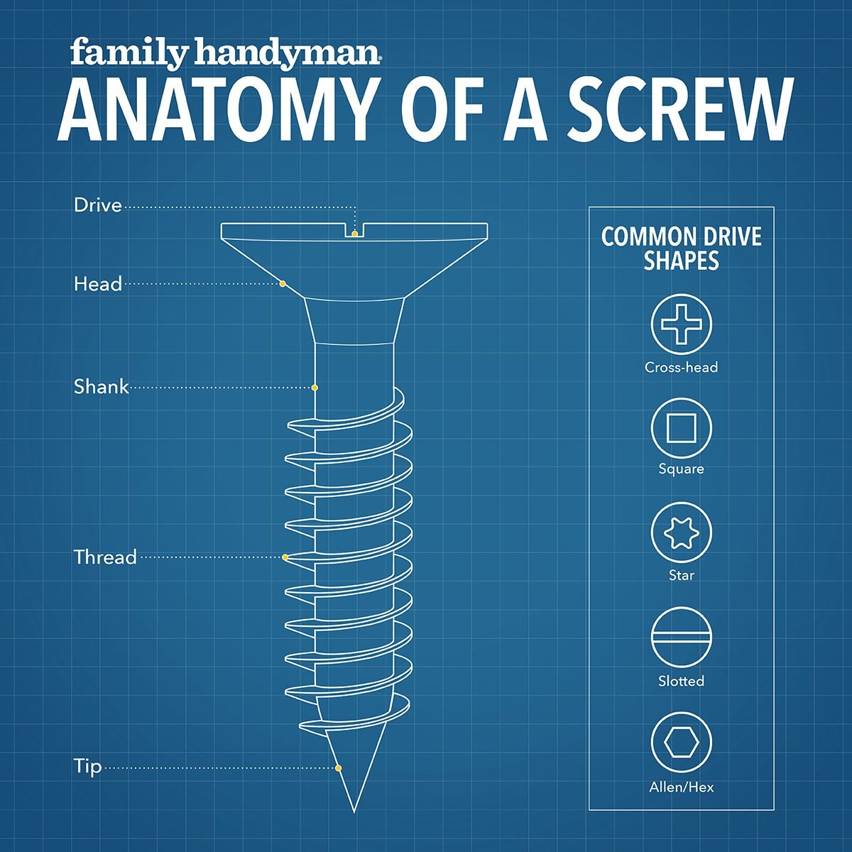 10 Different Types of Screws at a Glance & There Advantages