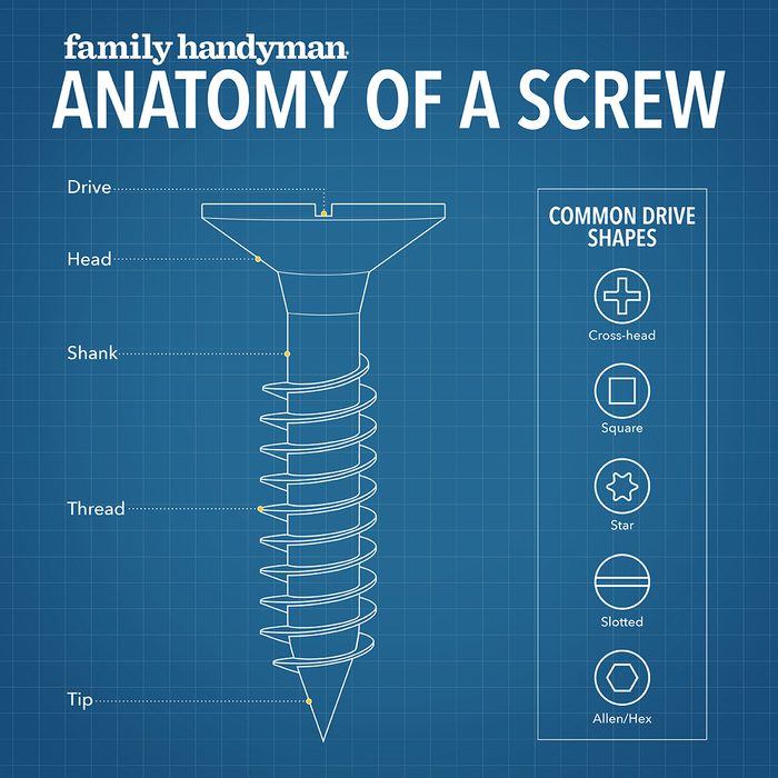 Anatomy Of A Screw
