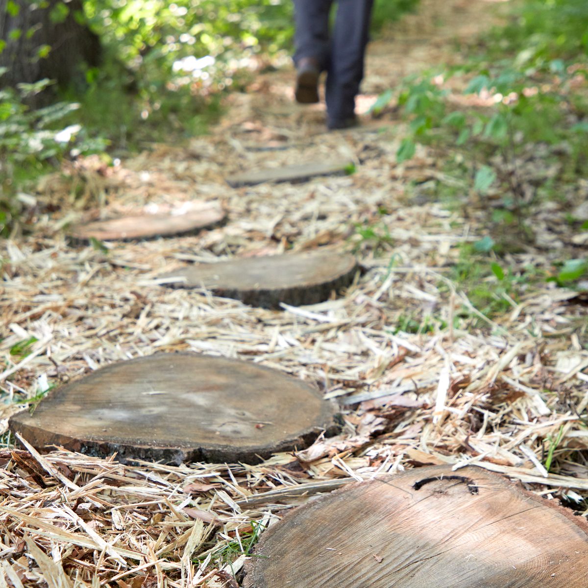 How To Make a Natural Woodland Path