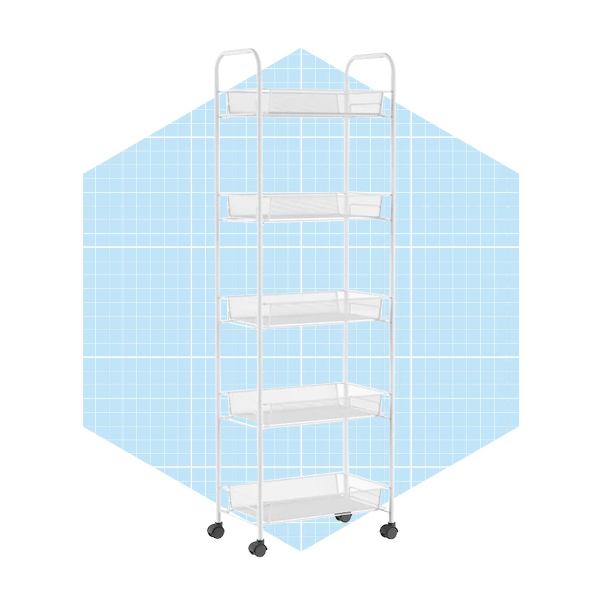 https://www.familyhandyman.com/wp-content/uploads/2021/06/Hastings-Home-5-Tiered-Narrow-Rolling-Storage_Shelves_ecomm-lowes.com_.jpg?fit=700%2C700