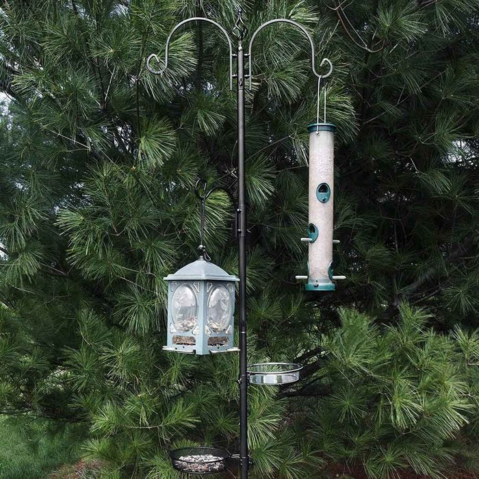Bird Feeder Pole