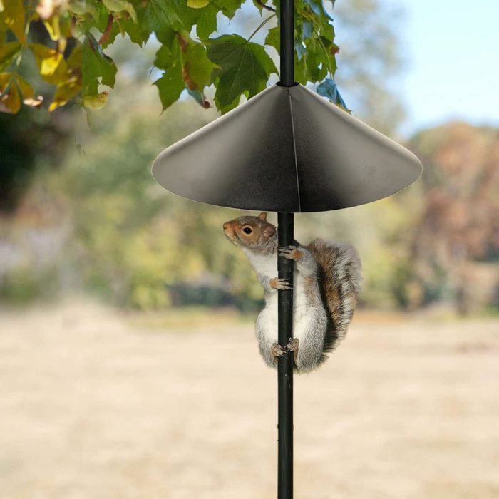 Bird Feeder Pole Squirrel Baffle