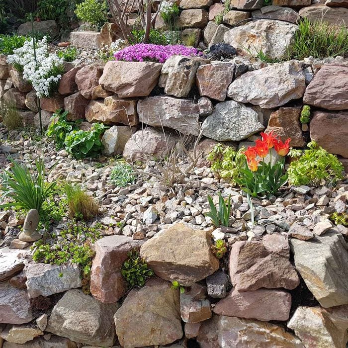 Rock Garden 