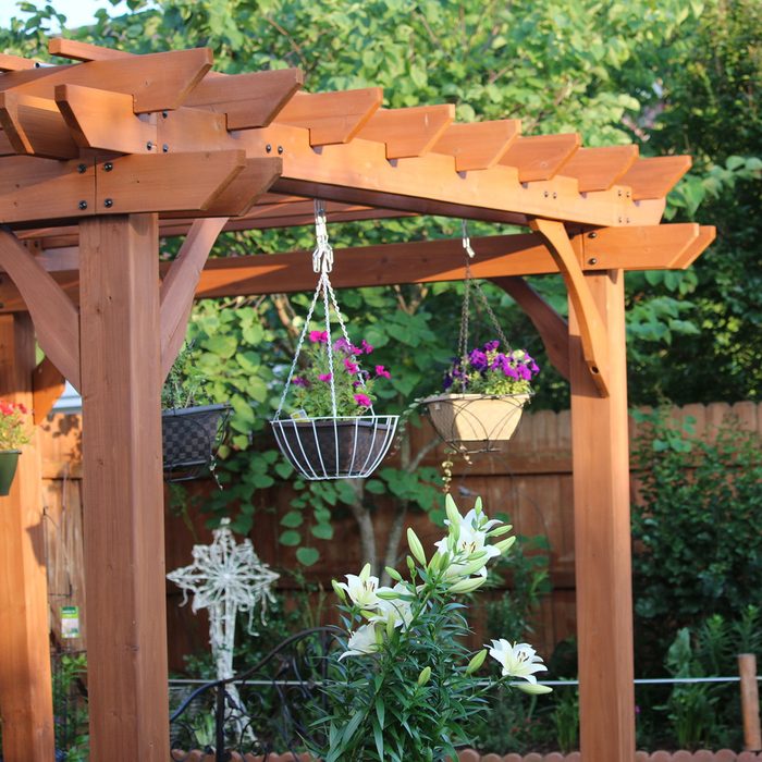 Backyard Pergola In Garden