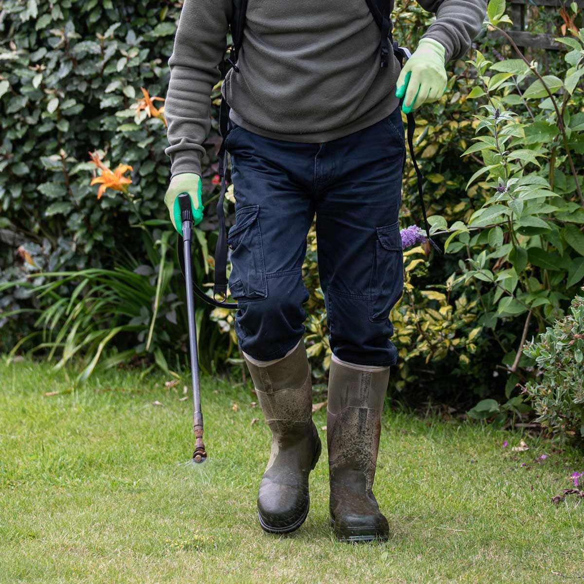 Spraying Weed Killer