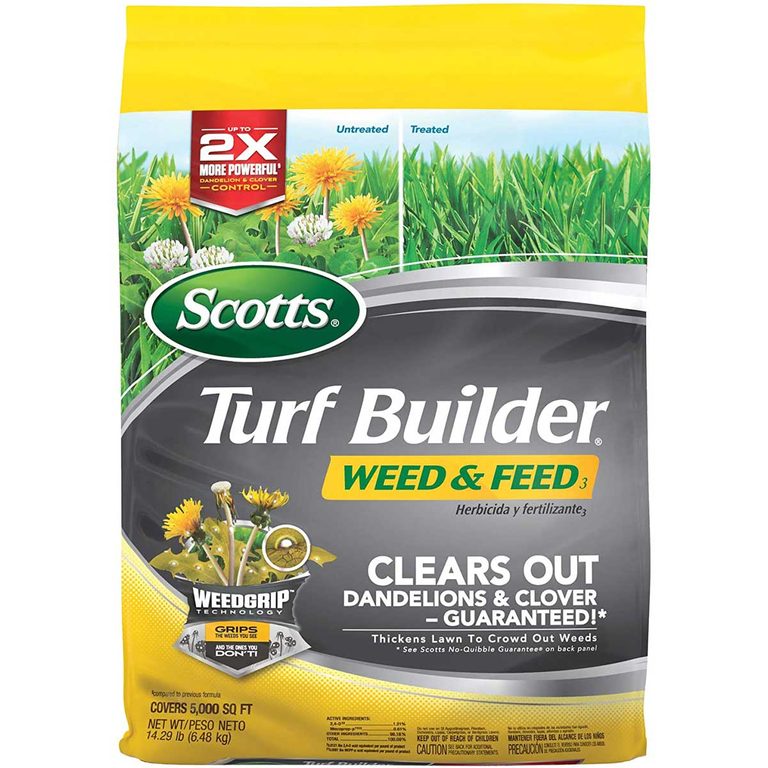 8 Best Weed Killers for Lawn | The Family Handyman