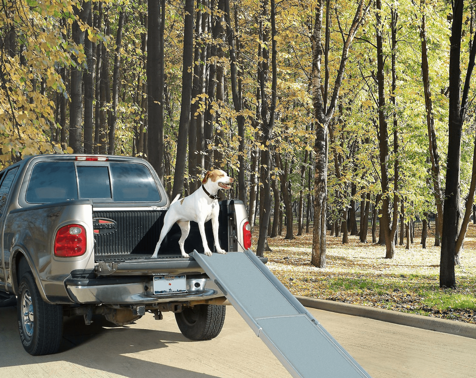 Chewy Petsafe Happy Ride Telescoping Dog Car Ramp