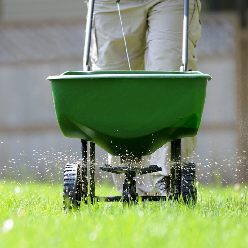 7 Best Lawn Fertilizers for Spring