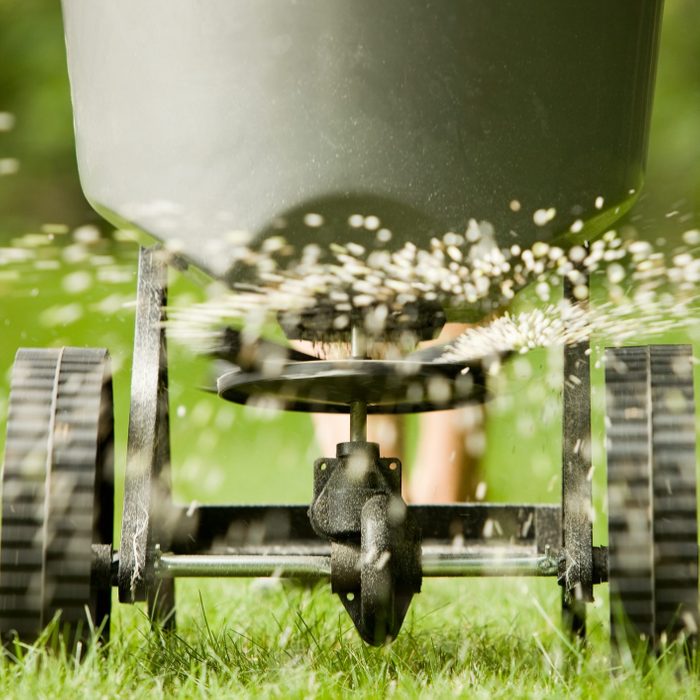 Fertilizer pellets spraying from spreader