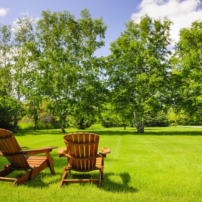 two adirondack chairs positioned in the backyard; lush green lawn on a sunny day