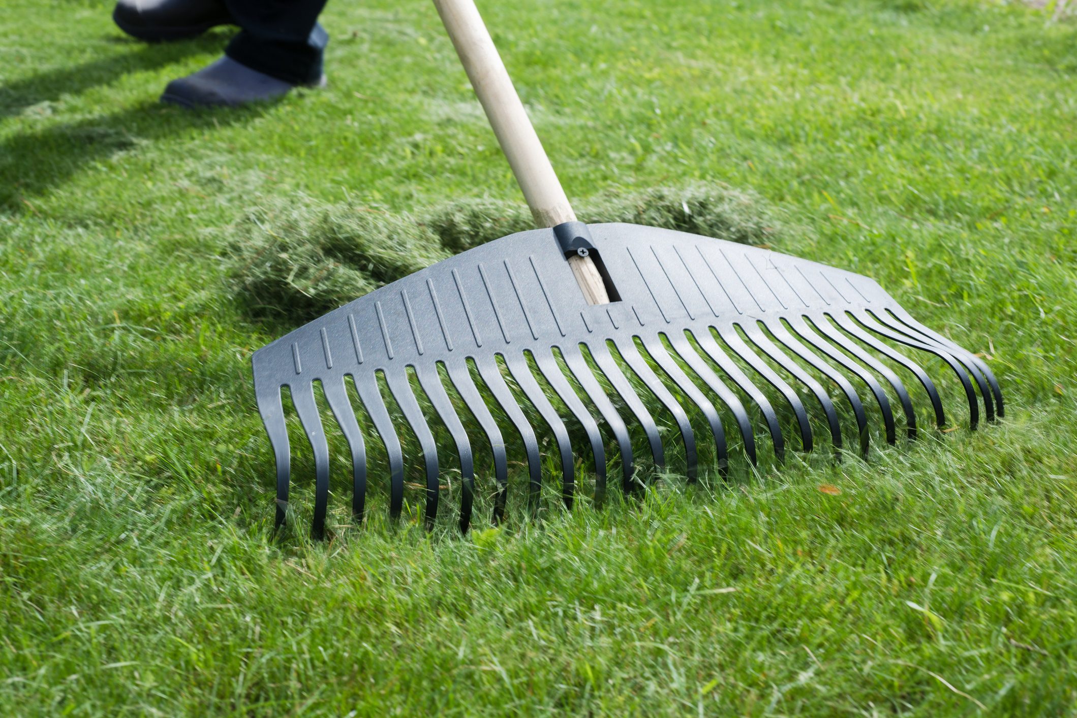 close up of raking the lawn during late summer