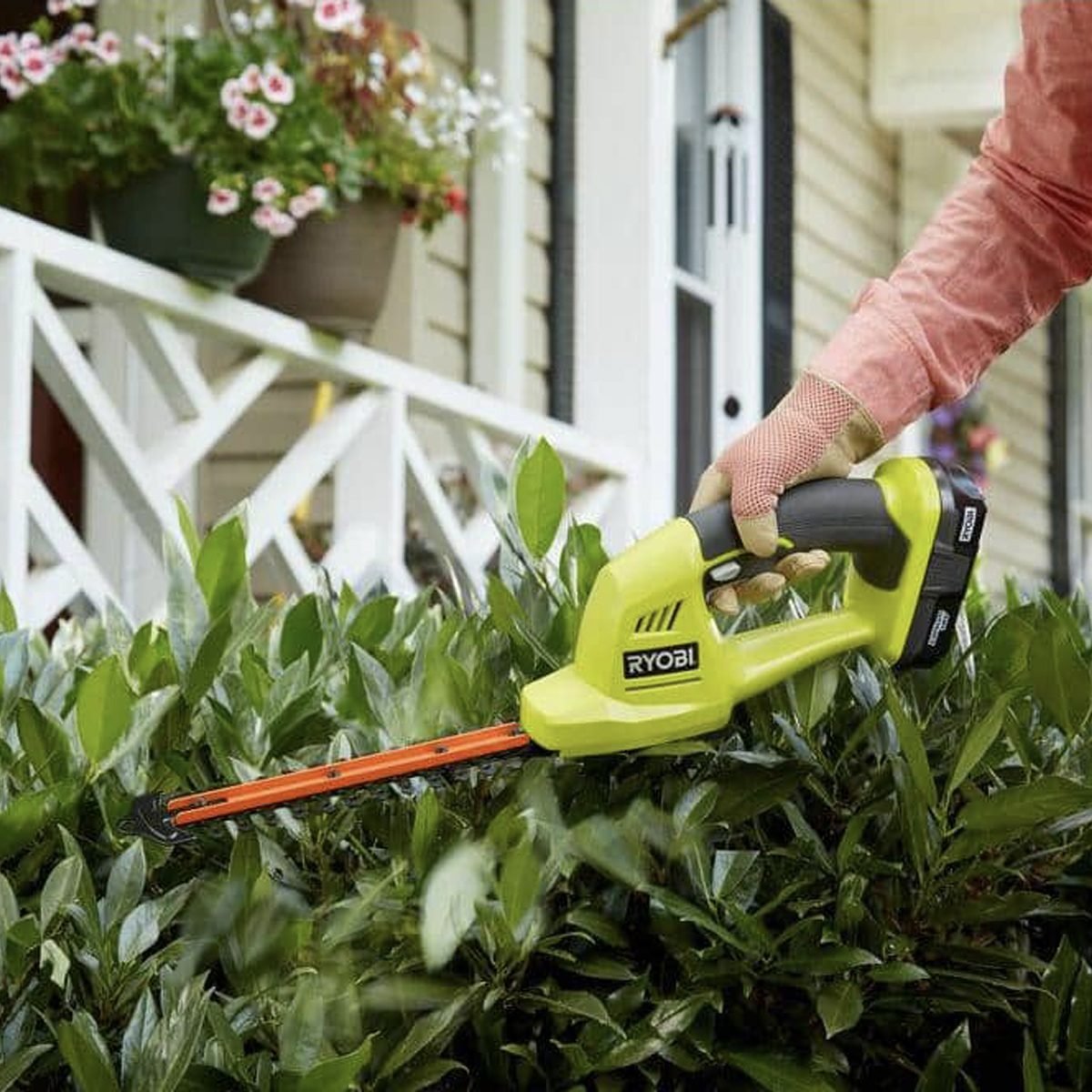 Best Hedge Trimmer to Your Yard's and Shrubs