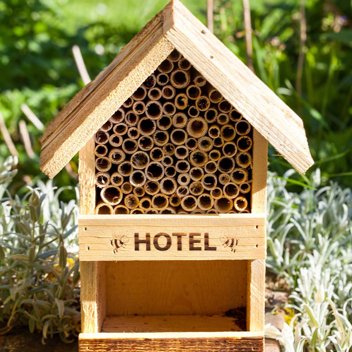 9 Best Bug Hotels of 2022 | The Family Handyman