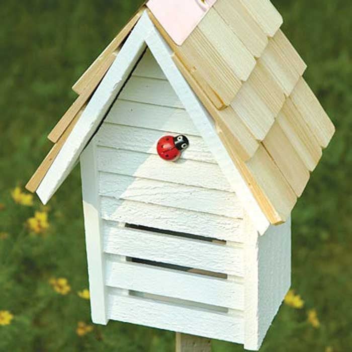 Bug Hotel