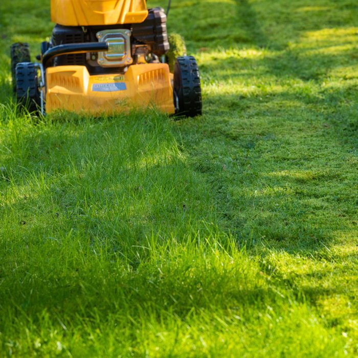 Lawn mower on grass in garden