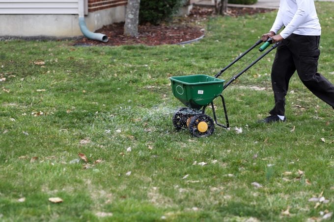 a man using a seed spreader on lawn