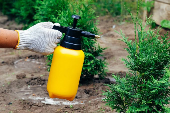 Lawn Sprayer What To Know Before You