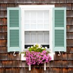 6 Best Plants for Window Boxes