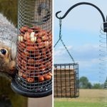 How to Keep Squirrels Away from Bird Feeders Using a Slinky