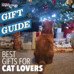 10 Best Gifts for Cat Lovers