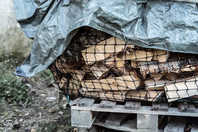 pile of firewood on wooden plank covered with a tarp for the winter