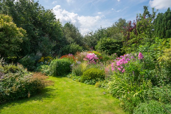 English country garden in August