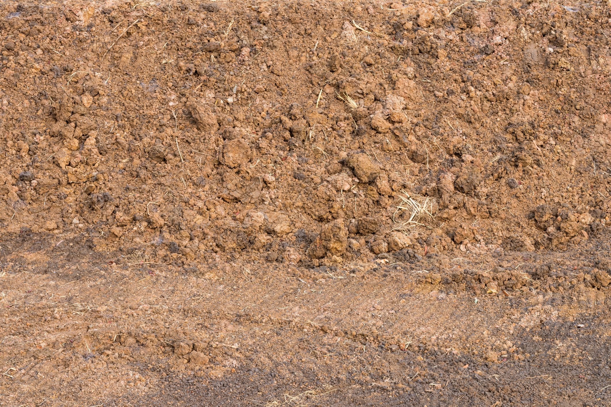 Surface of pile of loamy soil