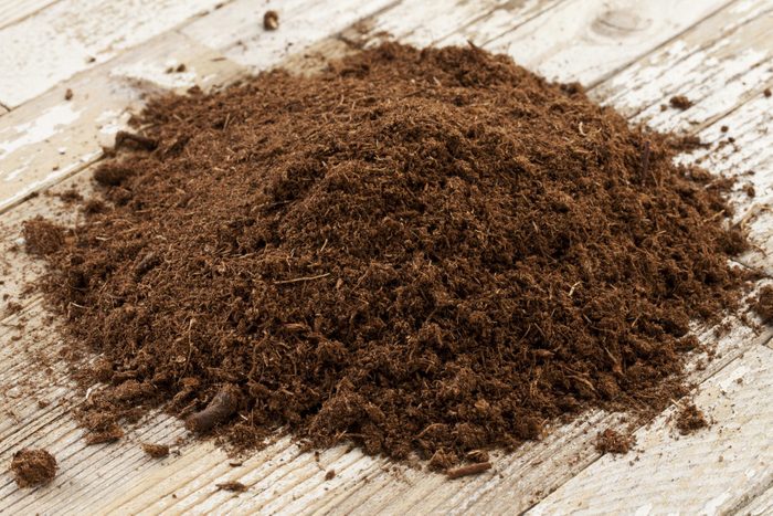 What is Sphagnum Peat Moss and How Do I Use It?