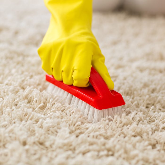 scrubbing cat pee out of carpet