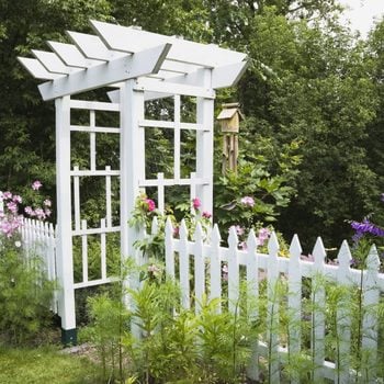 White wooden arbour and picket fence in a landscaped residential backyard garden in summer