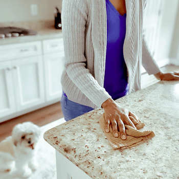 woman wiping kitchen counter with dog watching from the floor