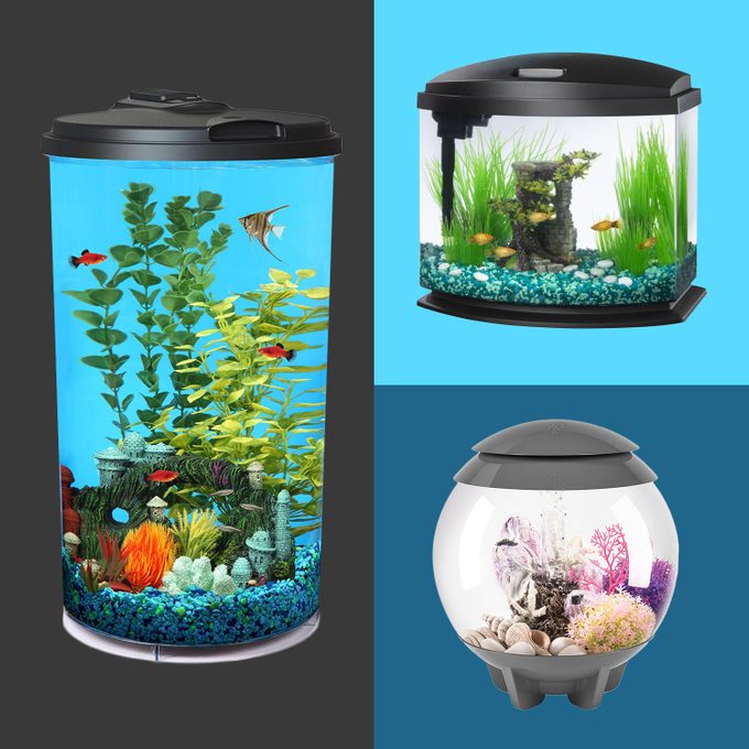 Fish Tanks Featured Product Collage