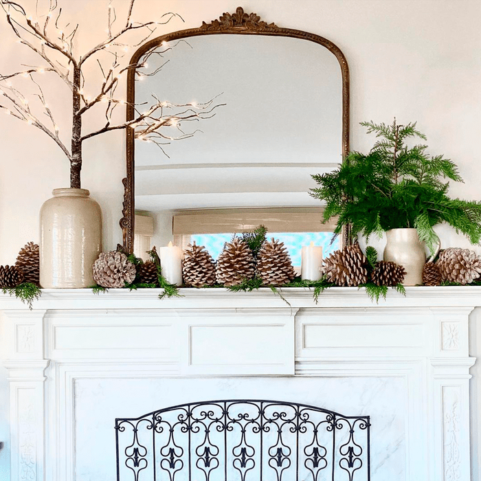 Nature Inspired Fireplace