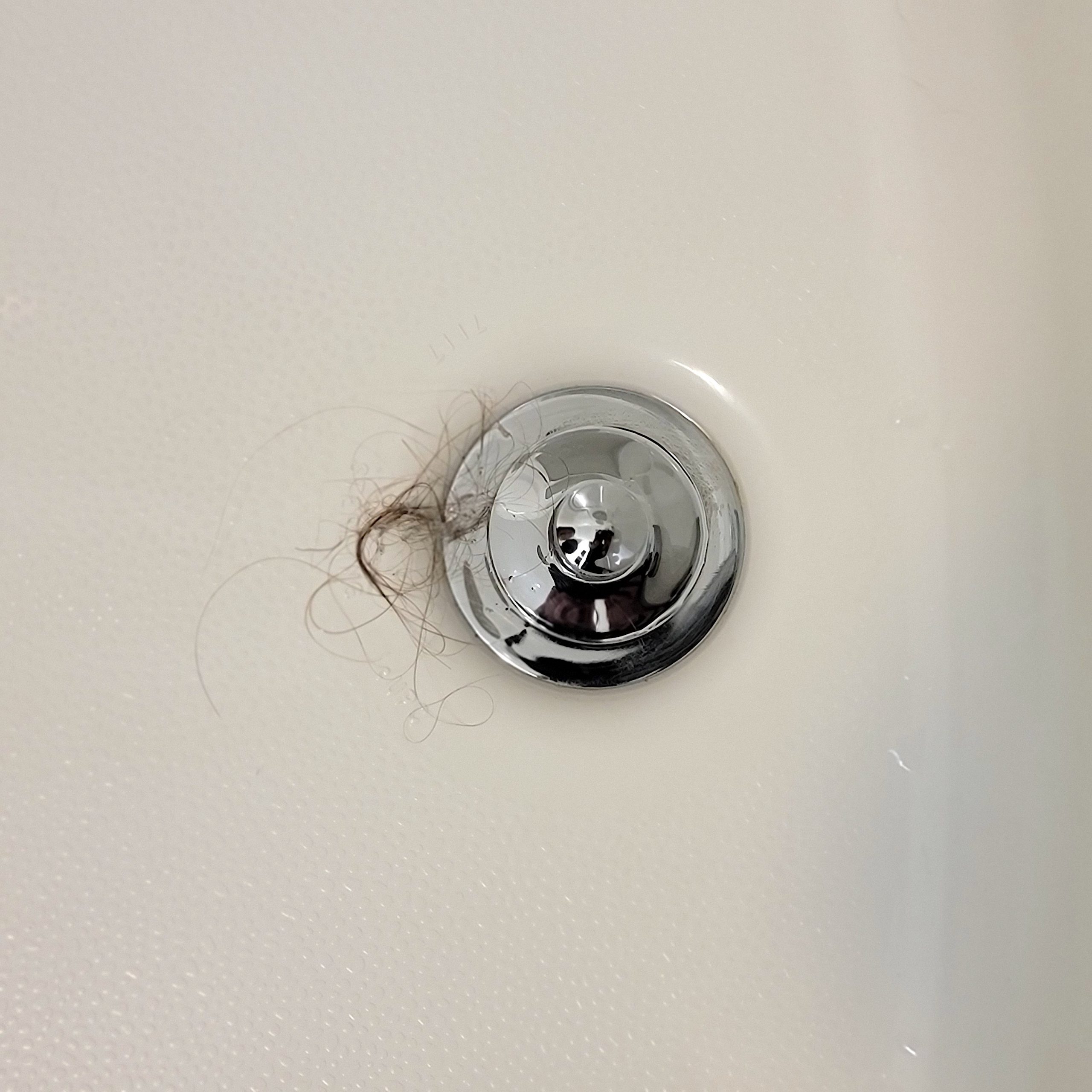 hair in the shower drain