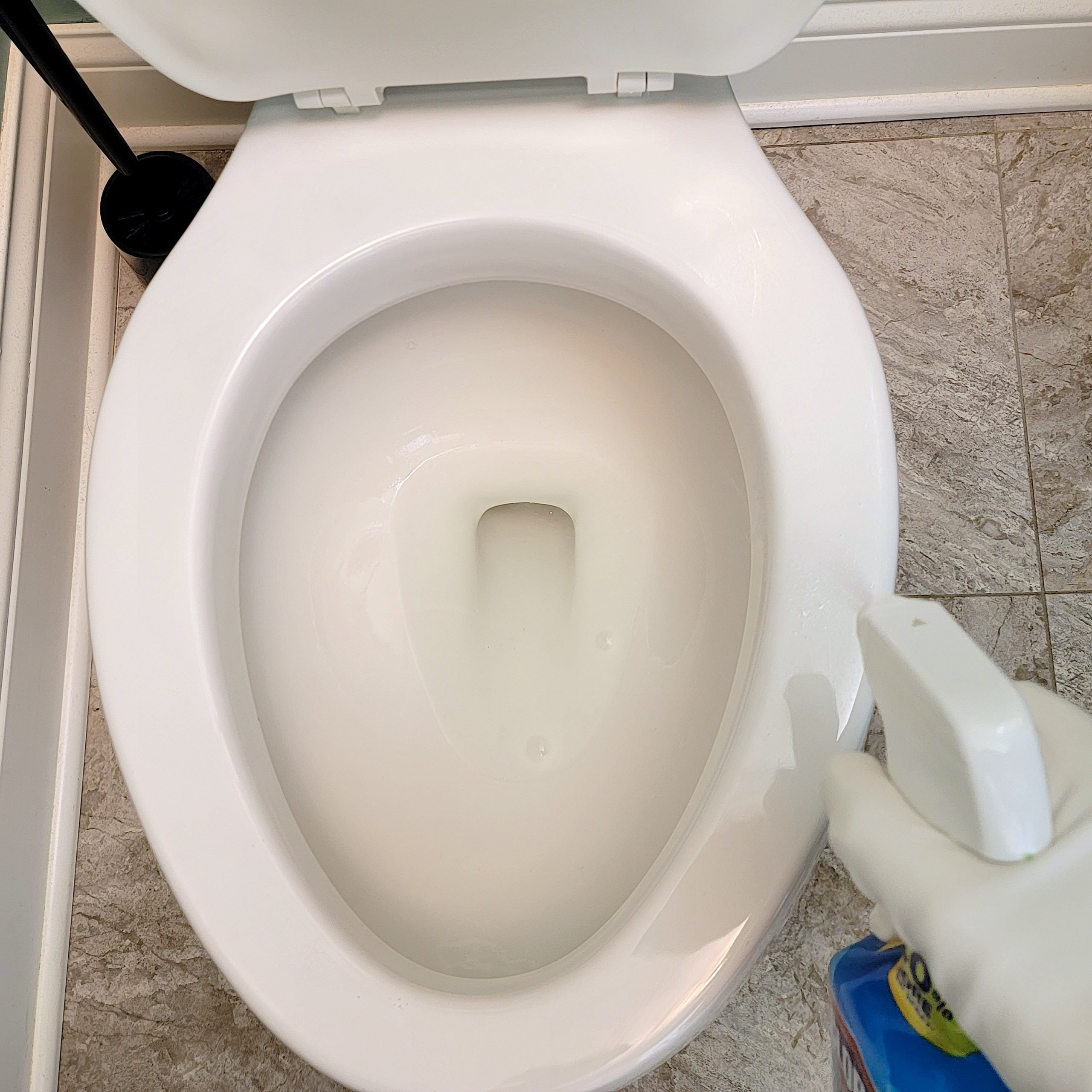 cleaning the toilet seat