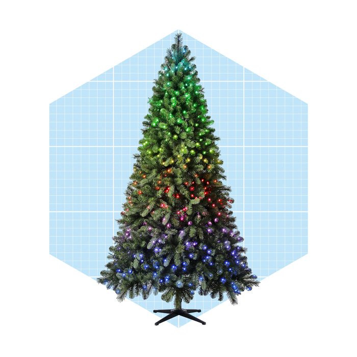 Evergreen Classics Twinkly Carolina Spruce