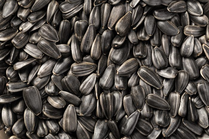 black oil sunflower seeds