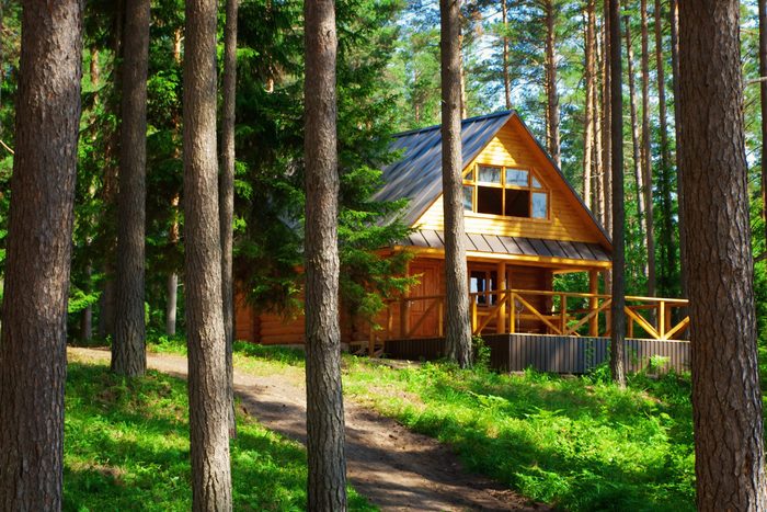 summer cabin in the woods surrounded by trees and nature