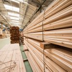 3 Reasons Why There is a Lumber Shortage