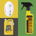 8 Best Products to Get Rid of Stink Bugs and Keep Them Away